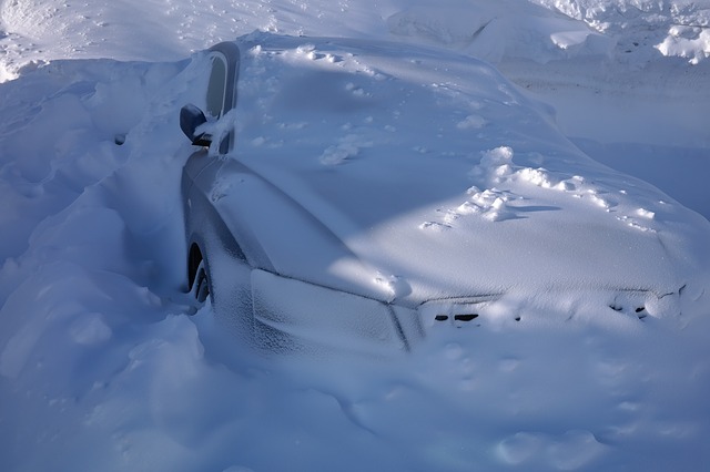 cerade za auto