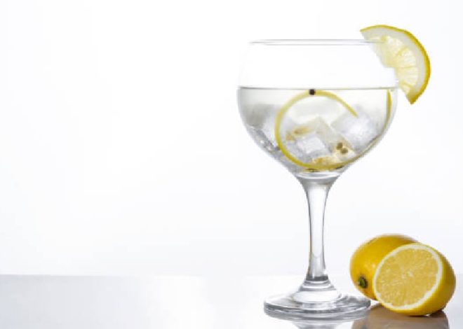 Slovenski gin za trenutke s karakterjem – gin Karakter