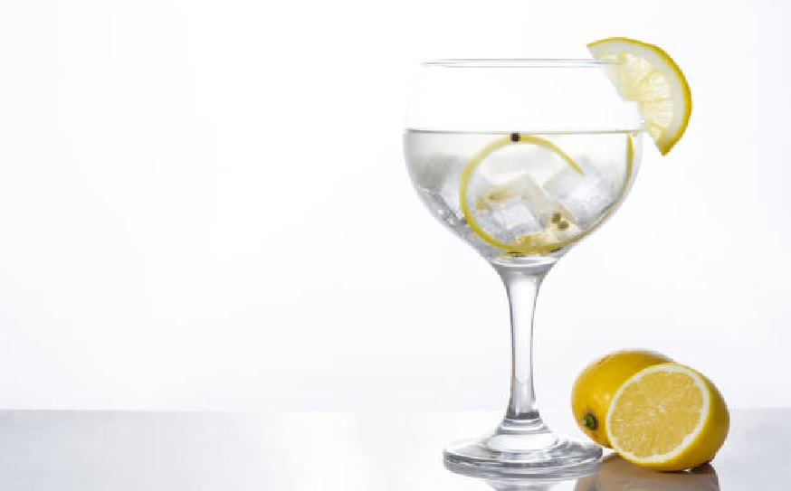 Slovenski gin za trenutke s karakterjem – gin Karakter
